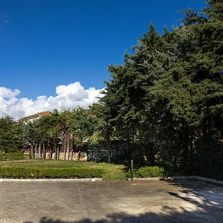 Kataleya سفوروناتا