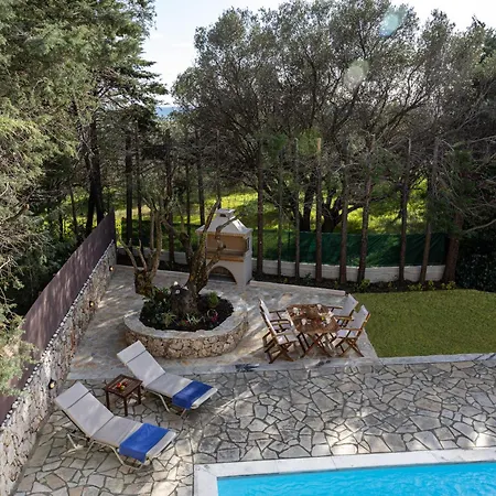 Kataleya * Svoronata